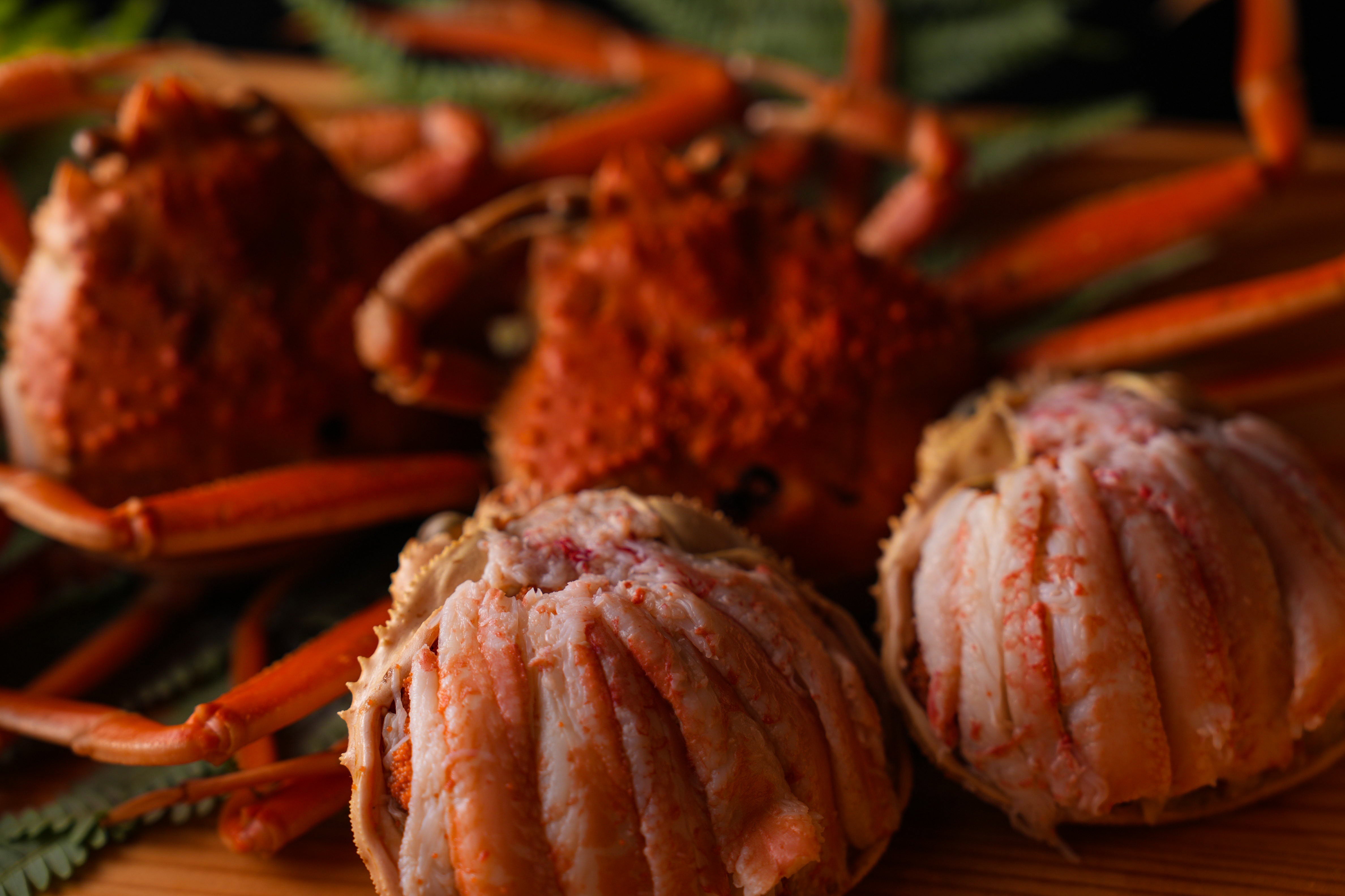 11月より季節限定コース登場